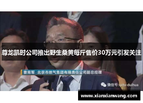 尊龙凯时公司推出野生桑黄每斤售价30万元引发关注