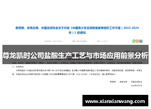 尊龙凯时公司盐酸生产工艺与市场应用前景分析